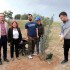 TSD AYDIN ŞUBESİNDEN ENGELLİLER HAFTASINDA "BENİMDE BİR AĞACIM VAR" PROJESİ!